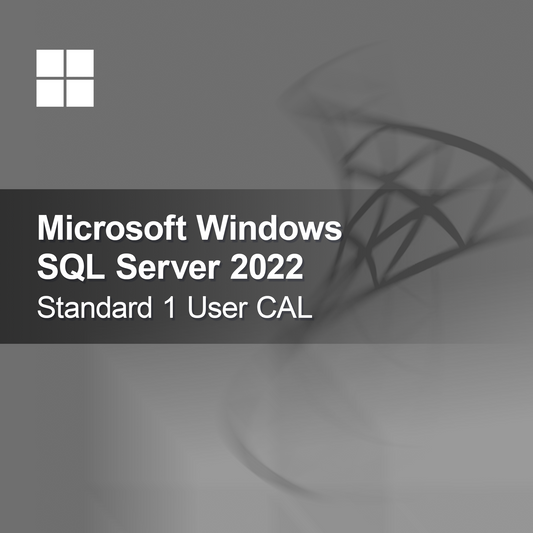 Microsoft SQL Server 2022 Standard 1 User CAL